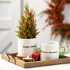 Holiday Sentiment Container Set by Sullivans