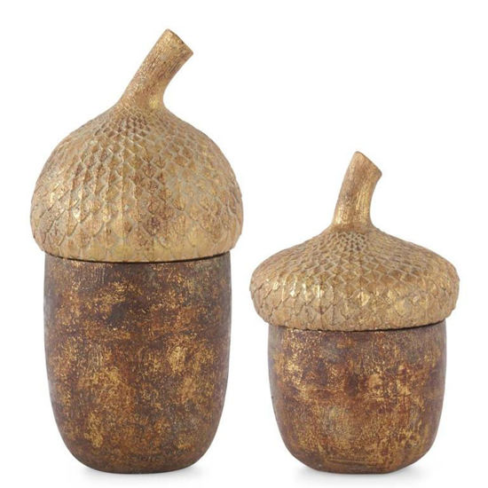 Gold & Bronze Acorn Lidded Containers Set by K & K Interiors