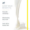 Pure Goat Milk Soap Bar by Beekman 1802