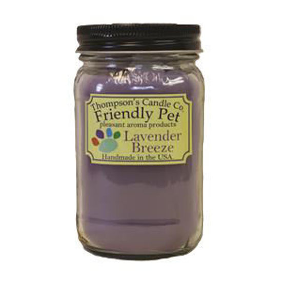 Friendly Pet- Lavender Breeze Small Mason Jar Candle by Thompson's Candles Co