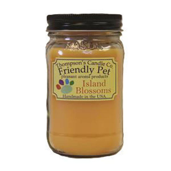 Friendly Pet- Island Blossoms Small Mason Jar Candle by Thompson's Candles Co